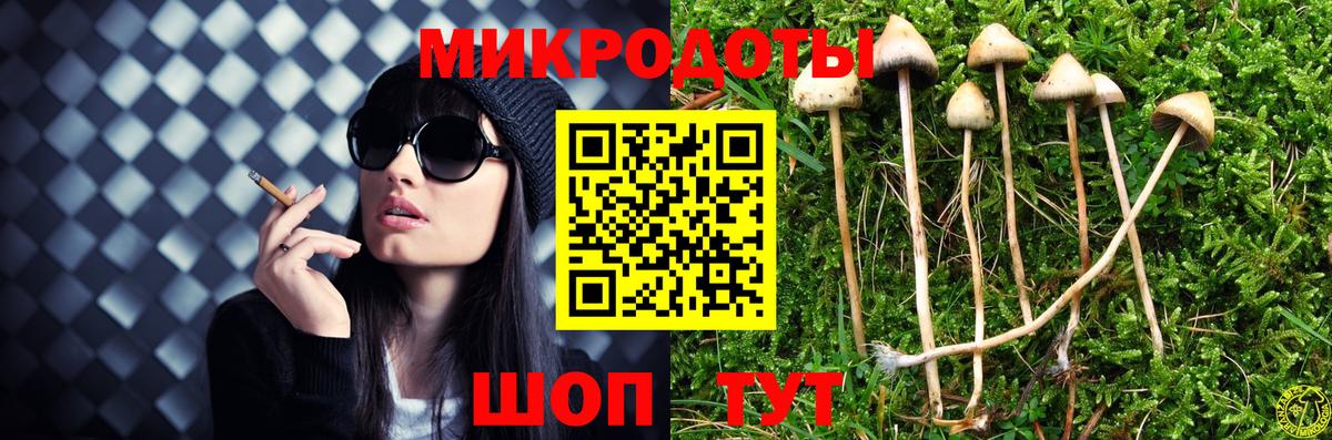 Псилоцибиновые грибы MAGIC MUSHROOMS  Псилоцибиновые грибы мицелий  наркота  Вход с VPN  Красный Сулин 