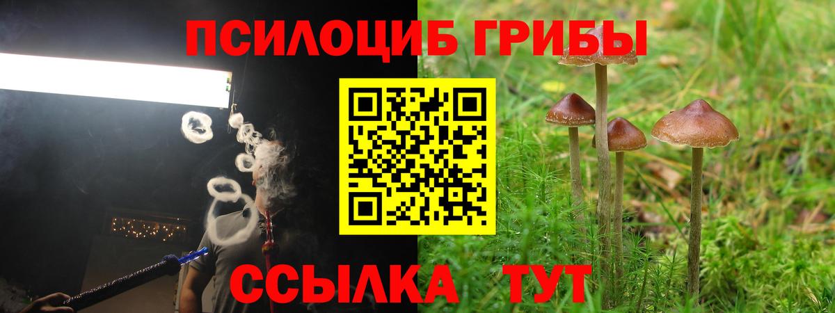 Галлюциногенные грибы ЛСД Красный Сулин